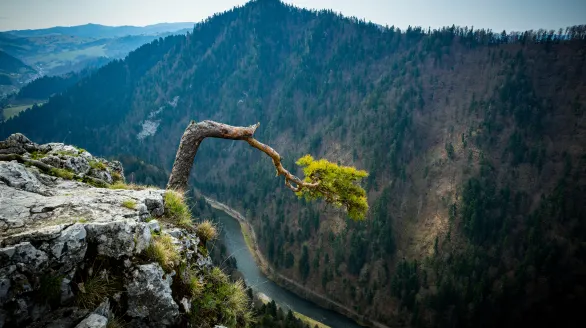 Kroscienko atrakcje (3)